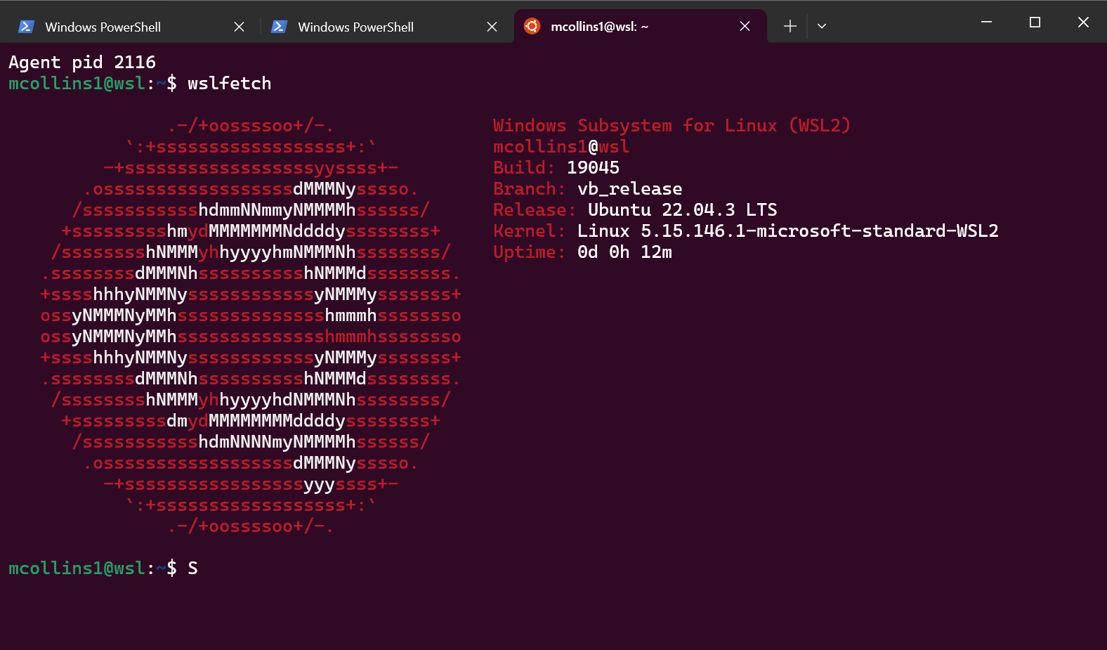 Ubuntu 22.04 on WSL.